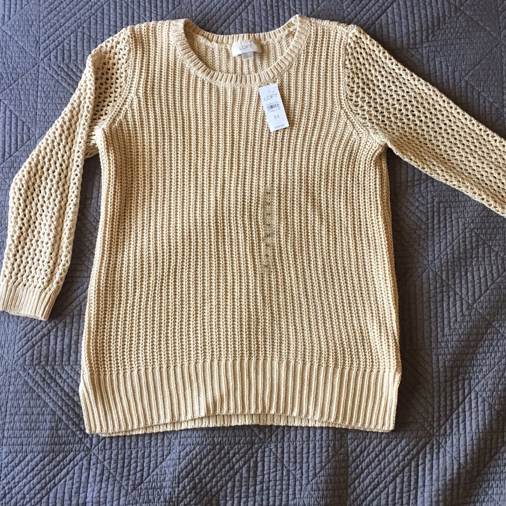 Anne Taylor Loft Sweater